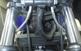 HONDA CBX550F 2024 PC04