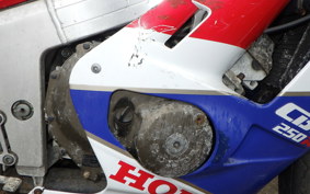 HONDA CBR250R GEN 2 MC19