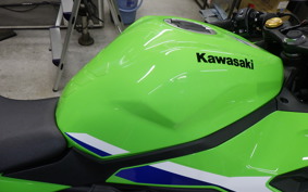 KAWASAKI ZX-25RR 2011 ZX250H