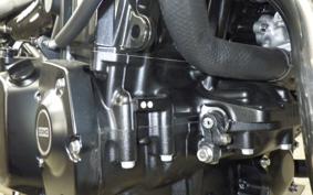 KAWASAKI Z900RS CAFE 2026 ZR900K
