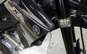 YAMAHA WR250X DG15J