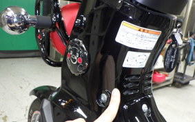 HONDA CROSS CUB 50 AA06