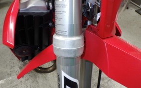 GASGAS EC 250 F 1991