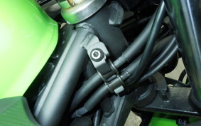 KAWASAKI NINJA 400 2021 EX400G