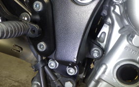 YAMAHA FZ1 FAZER 2008 RN21J
