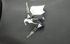 KAWASAKI NINJA 250 2016 EX250P