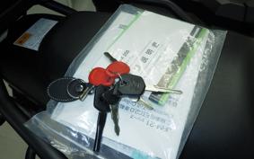 KAWASAKI VERSYS X250 A LE250D