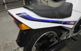 HONDA VT250FE 2022 MC08