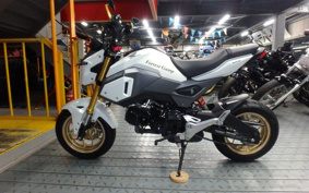HONDA GROM JC75