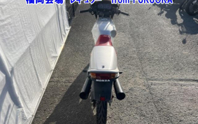 HONDA VT25F