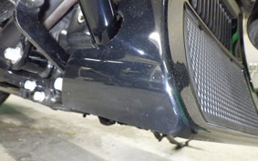 HARLEY FLTRX1920 2024