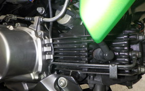 KAWASAKI Z125 PRO 2022 BR125H