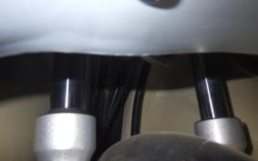 OTHER +UNREGISTERED MODEL by BDS125 TRIKE 2020