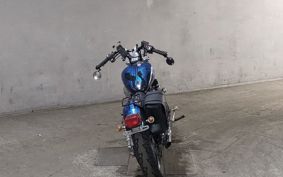 YAMAHA VIRAGO 250 3DM