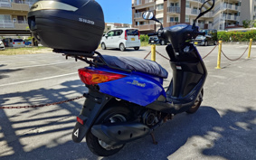 YAMAHA AKUSHI STREET SE53J