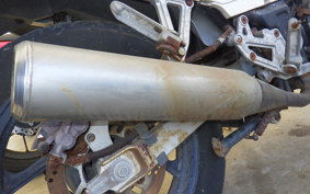 KAWASAKI GPX250R 2024 EX250E