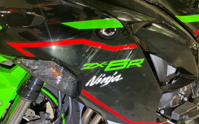 KAWASAKI NINJA ZX-6R 2021 ZX636G