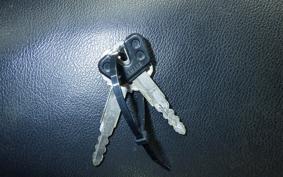 YAMAHA SRV250 RENAISSA