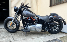 HARLEY FLS 2014 JR5