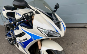 TRIUMPH DAYTONA675SE 2010 TMD106