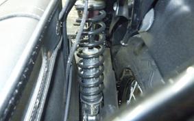 KAWASAKI W800 CAFE 2022 EJ800E