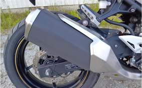 KAWASAKI NINJA 250 EX250P
