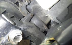 HONDA C50 SUPER CUB 2007 AA04