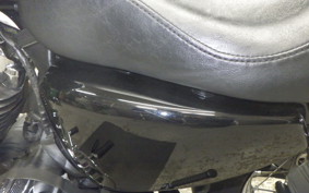 OTHER +HD. XL1200C-I 2011