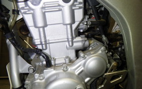 YAMAHA WR250R 2021 DG15J