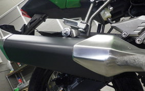KAWASAKI Z250 SL 2010 BR250E