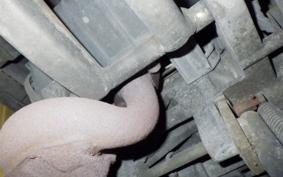 SUZUKI ADDRESS V100 2021 CE11A