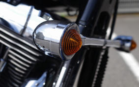 HARLEY FXDL 100th 2002 GDV