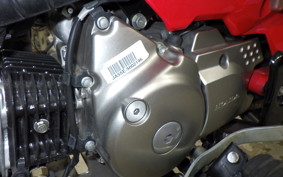 HONDA CT125 HUNTER CUB 2022 JA55
