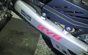 YAMAHA WR250R 2021 DG15J