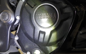 YAMAHA YZF R-3 2019 RH13J