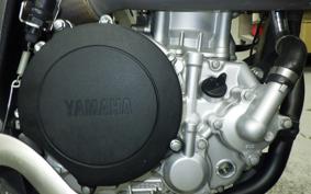 YAMAHA WR250X DG15J