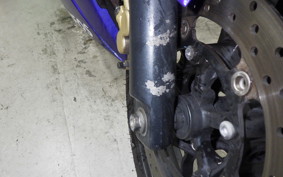 YAMAHA YZF-R25 2023 RG10J