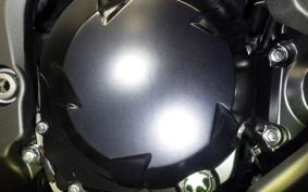 KAWASAKI NINJA 1000SX 2024 ZXT02K