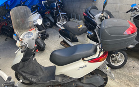 YAMAHA AKUSHI STREET SE53J