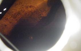 HARLEY FLSTC 1580 2015