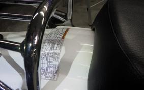 SUZUKI TS185 2024