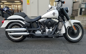 HARLEY HARLEY FLSTFB 2010 JN5