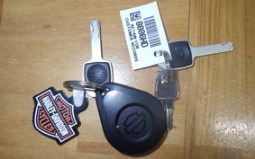 HARLEY FLBS 1870 2022