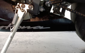 TRIUMPH DAYTONA675 2010 TMD116