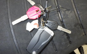 DUCATI DIAVEL 1260 S 2019