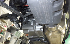 HARLEY PAN AMERICA 1250 2021