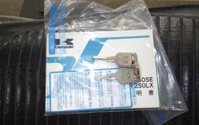 KAWASAKI ELIMINATOR 250 SE EL250A