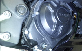 YAMAHA YZF R-3 2020 RH13J