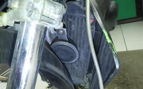 KAWASAKI KLX250 ES Type LX250E