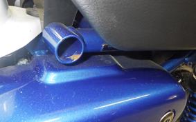 HONDA MONKEY 125 2024 JB02